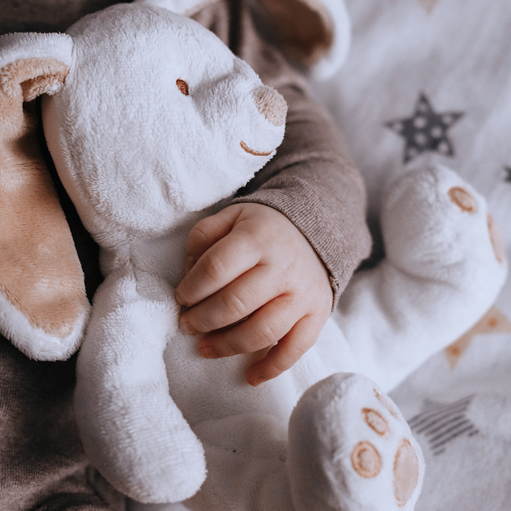 Peluches